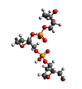 DNA_