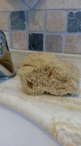 Zucca_luffa