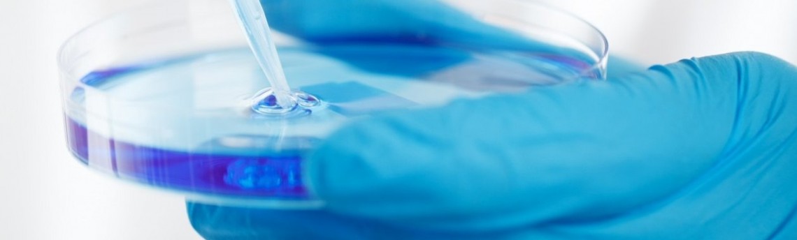 La ricerca scientifica accompagna i nostri studi