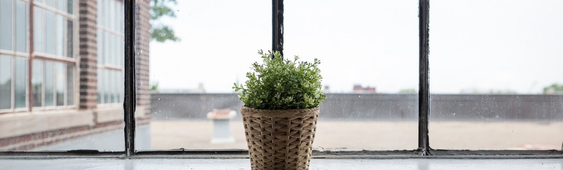 L’ammoniaca è sicura per lavare vetri e pavimenti?