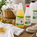 detergenti ecologici e metodologie per pulire varie tipologie di macchie di olio